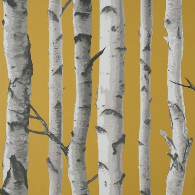 Edle Dekor Birken Senf Tapete FD43290 - Paste the Wall Natur