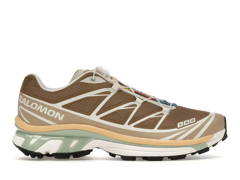 Salomon XT 6 Brown | eBay
