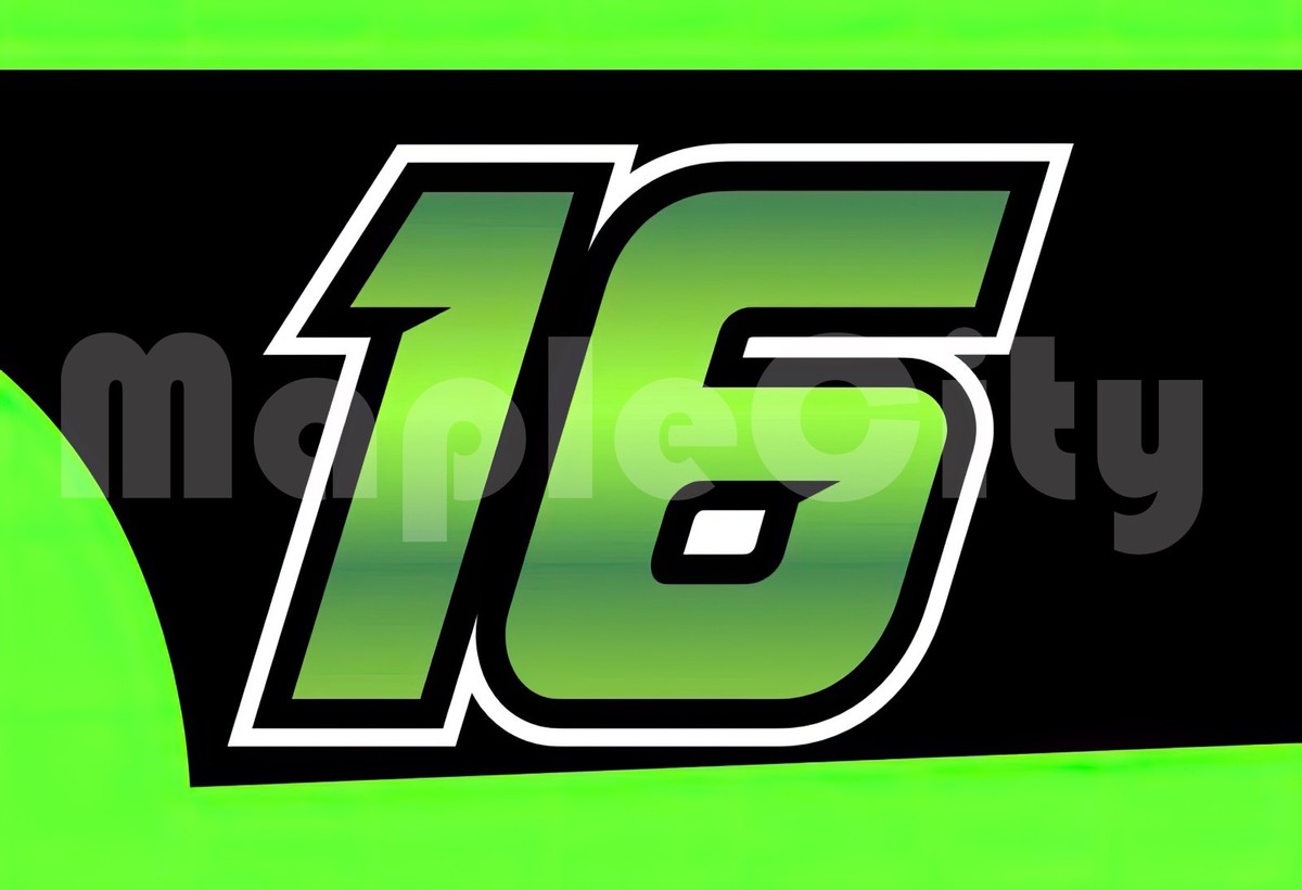 AJ Allmendinger NASCAR 2026 Door Number Art 13