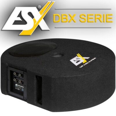 ESX DBX300Q 15x23cm (6 x 9 ) Subwoofer Bassbox für Reserveradmulde Reserverad