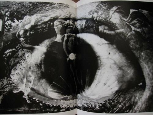 EIKOH HOSOE BA-RA-KEI Prueba por Roses Fotografías de Yukio Mishima Libro de Arte Envío Grabado - Imagen 5 de 7