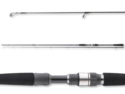 Daiwa Freams Spin 2,40m 5-35g Meerforellenspinnrute Spinnrute Dropshot Rute
