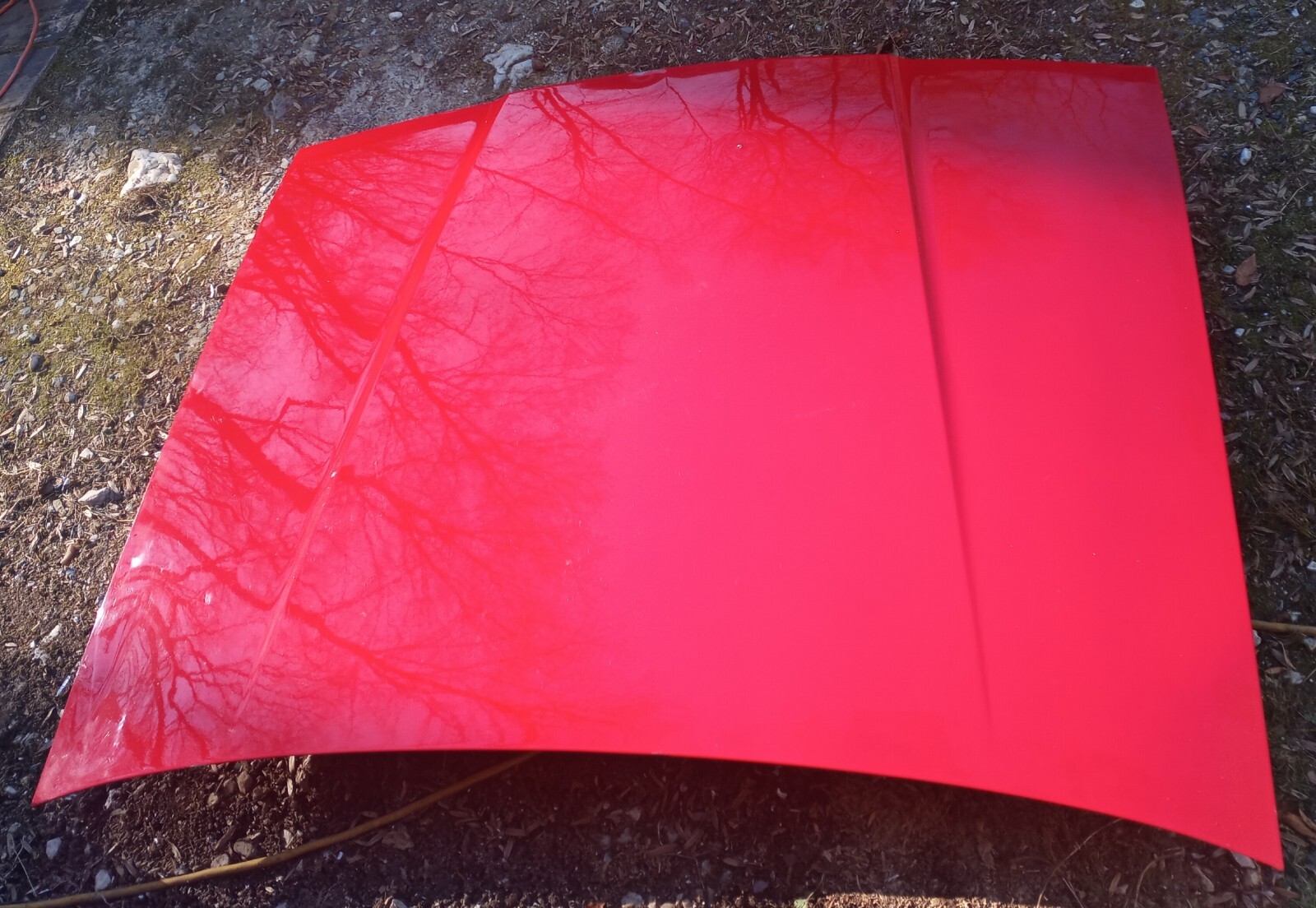 NO SHIPPING ! SIN ENVIO 1983 1984 1985 1986 1987 1988 1989 Maserati Biturbo Hood