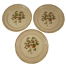 Endura Collection Japan LA FRAISE 10.5" Stoneware Dinner Plates – Set of 3