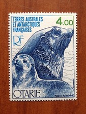 TAAF AERIEN ** MNH PA 54 Faune Otarie ANNEE 1978