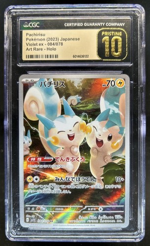Pachirisu (JP)