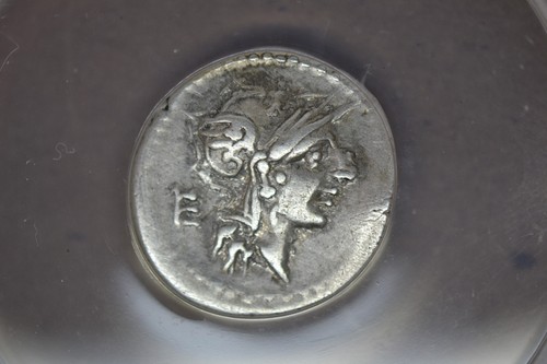 Roman Republic: D. Silanus L.f. (91 BC). AR denarius (18mm). ANACS EF-40 - Picture 2 of 5