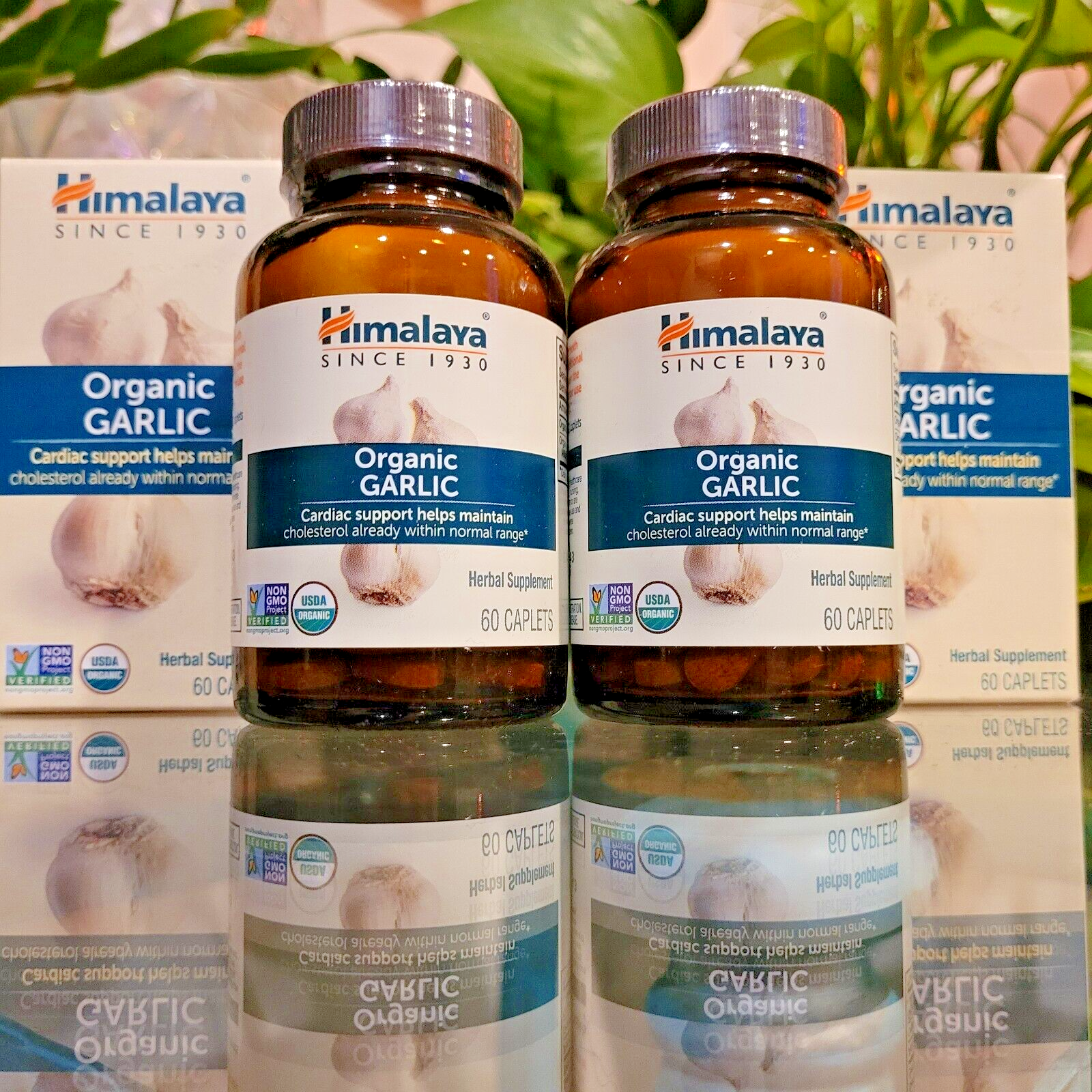2x Himalaya Organic Garlic Cardiac Overall Wellness Cholesterol Support 60 Ct