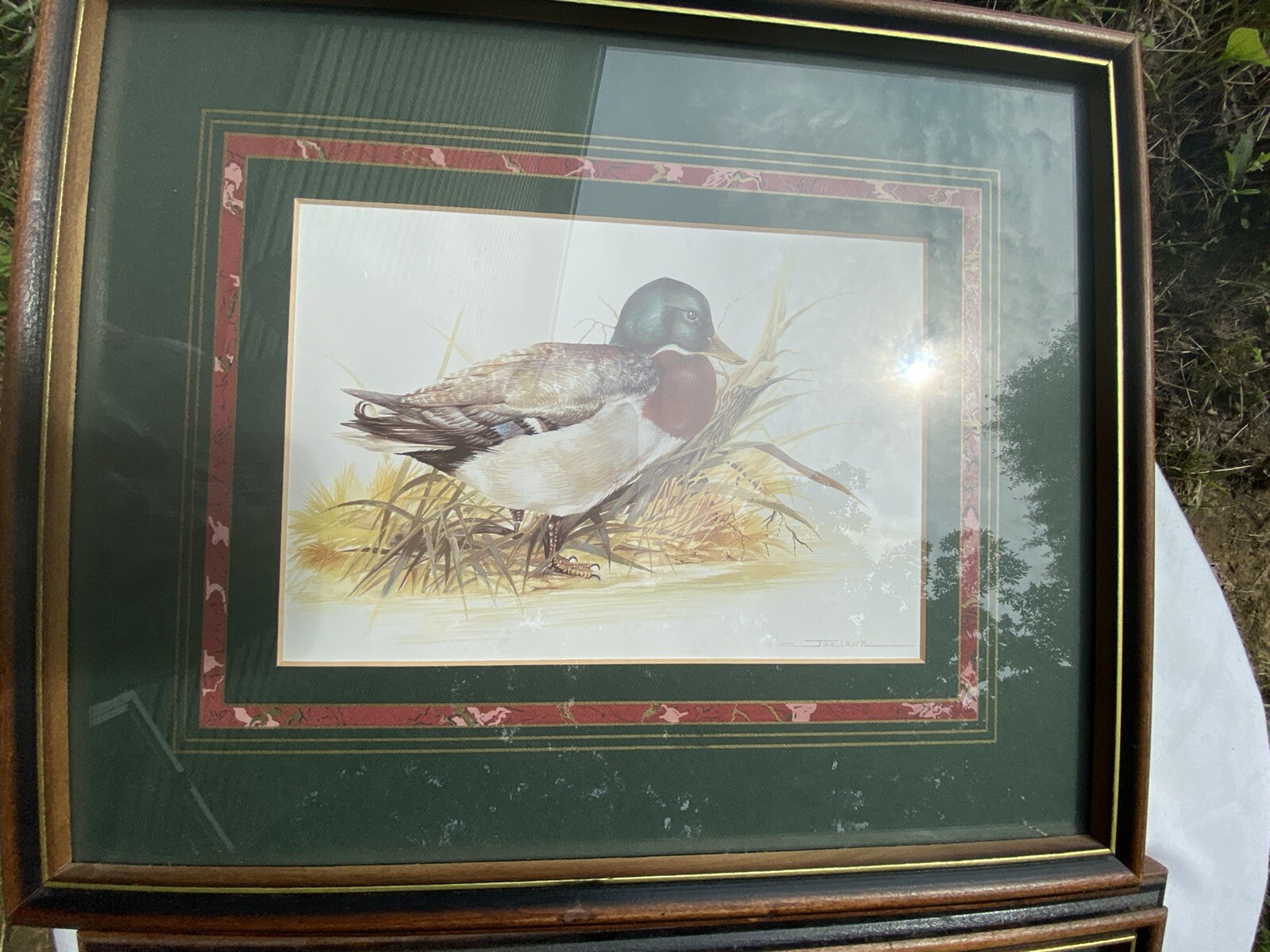 Picture 17 of 24
