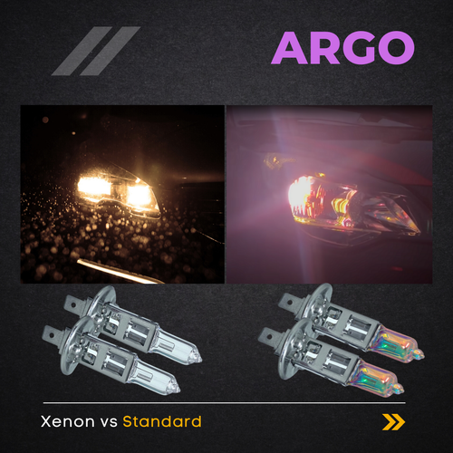 H1 100w Xenon White Bulbs Headlight All Weather 448 Upgrade Hid P14.5s Lamps 12v - Picture 27 of 96