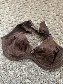 Women's Bra