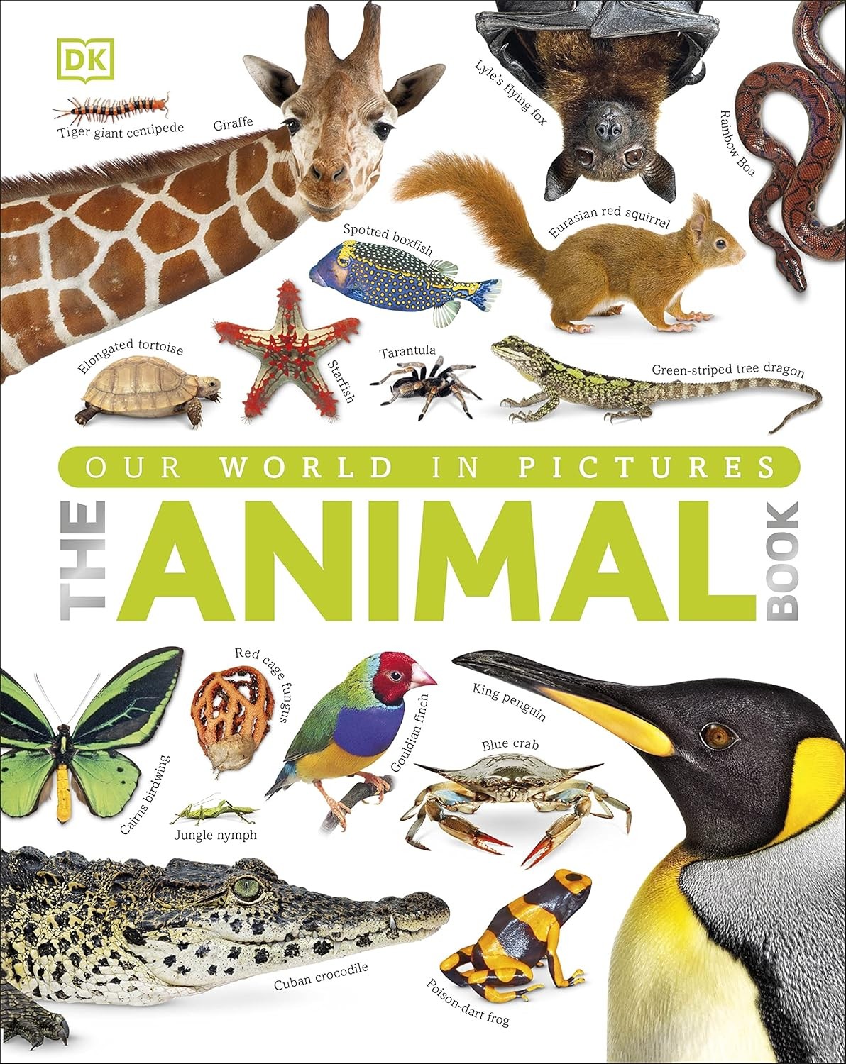 The Animal Book by DK - - Image 8