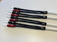 Chord C-Screen X Speaker Cable (1 Pair) Factory Tool Terminated Ohmic Plugs
