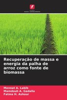 Mennat A. Labib (U. A.) | RecuperaçãO De Massa E Energia Da Palha De Arroz...