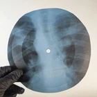 LED ZEPPELIN HEATRBREAKER X-Ray USSR Record Roentgen Bone Ribs Music Vinyl