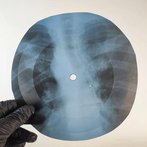 LED ZEPPELIN HEATRBREAKER X-Ray USSR Record Roentgen Bone Ribs Music Vinyl