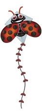 Eolo Sports 110620-001 Pop up Diamond Lady Bug Kite