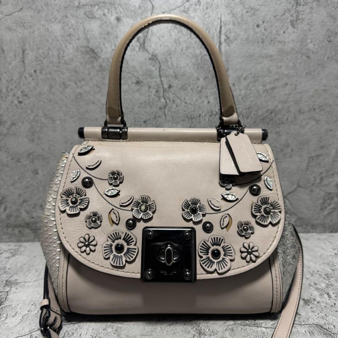 COACH Tea Rose Python Leather 2way Shoulder Bag T… - image 16