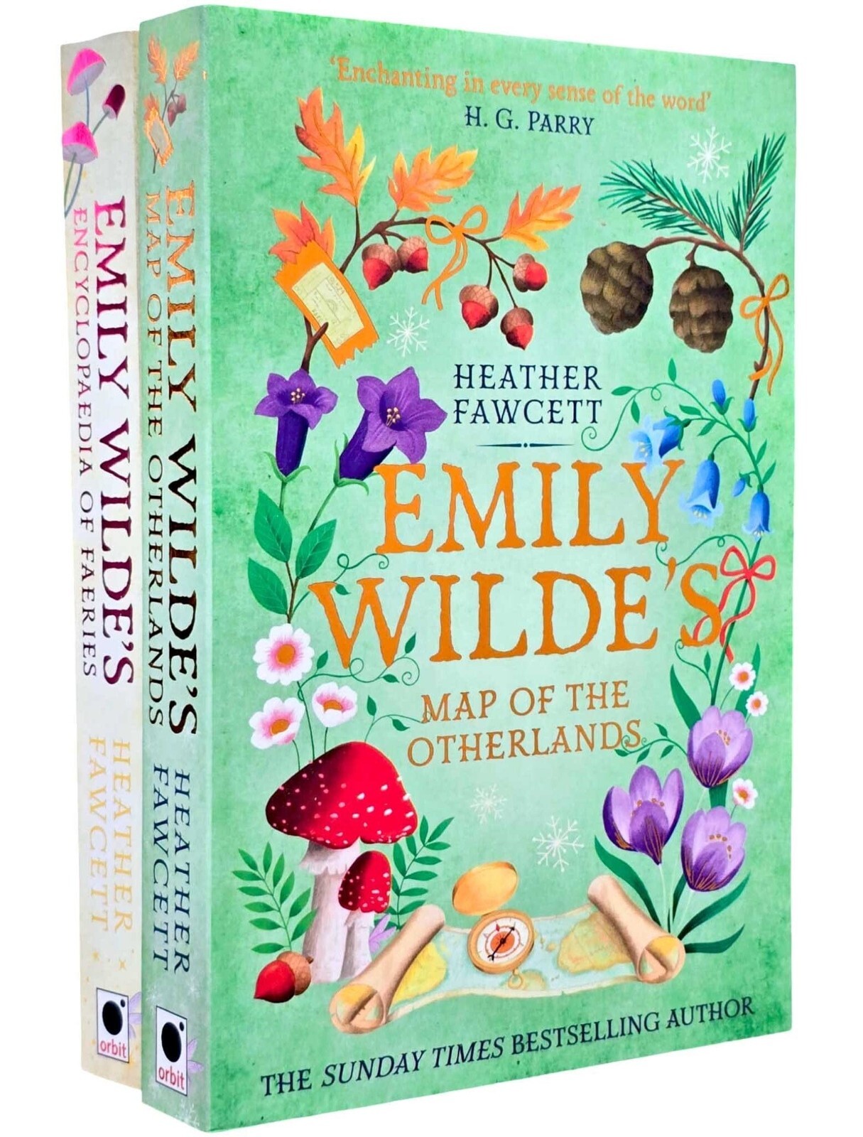 Emily Wilde Series by Heather Fawcett 2 Books Collection Set -Fiction -Paperback