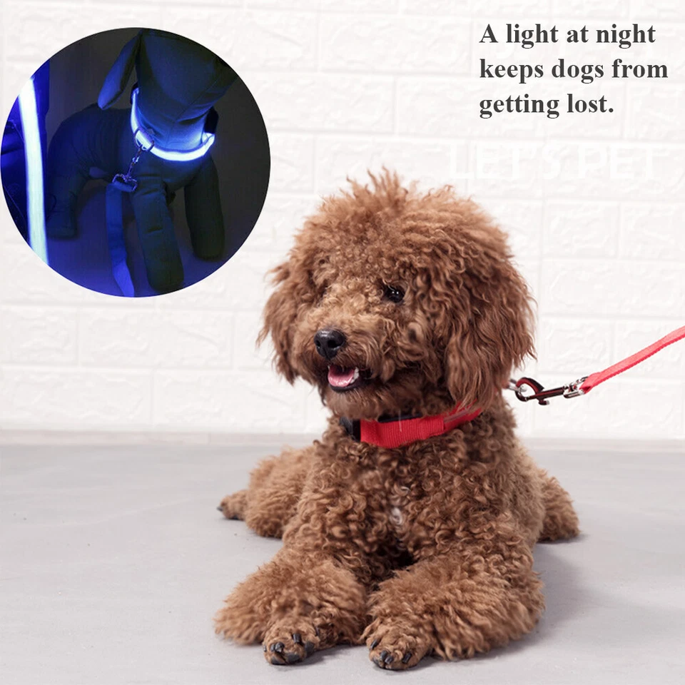 Dog LED Collar Blinking Night Flashing Light Up Glow Adjustable Pets Safety USA - Image 4 of 4