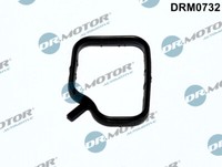 Dr.Motor Automotive Dichtung KüHlmittelrohr FüR BMW X3 Xdrive20D Xdrive30D