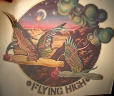 FLYING HIGH VINTAGE 1970's HEADSHOP IRON ON TRANSFER 420 -NICE, B-15