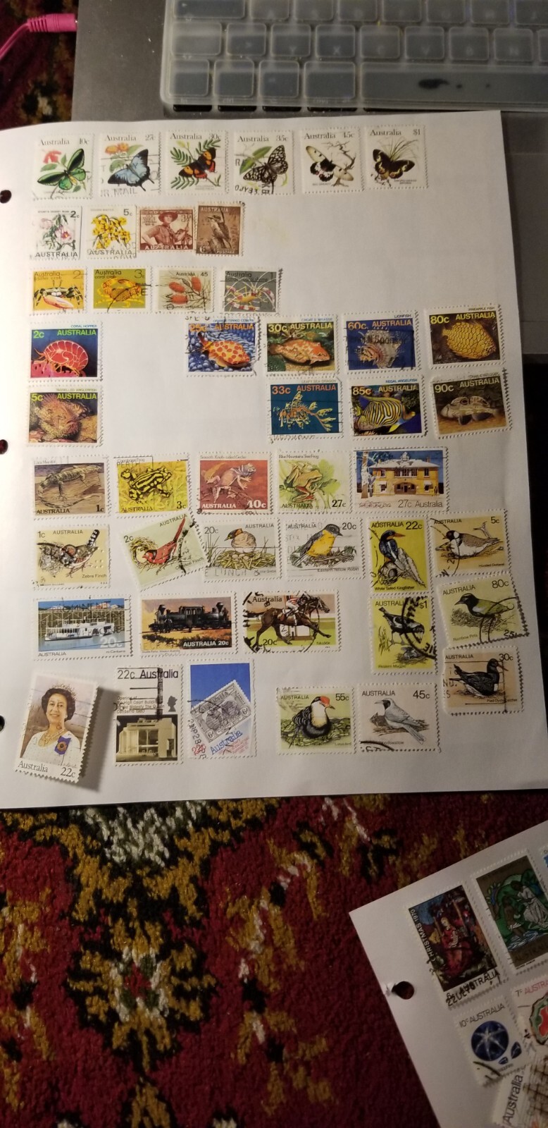 Picture 5 of 16