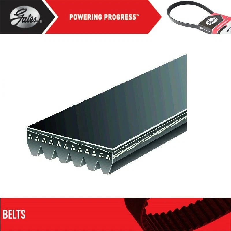 Puertas de cinturón Serpentine para Ford F650 2016 V10-6,8 L Foto 2 de 4