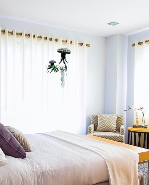 3 Quallen Luftpflanzen Set - Tillandsien Mit Alfonso Seeigeln Grün