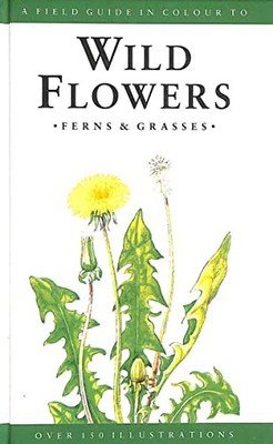 A Field Guide to Wild Flowers, Ferns and Grasses - Slavik, Bohumil