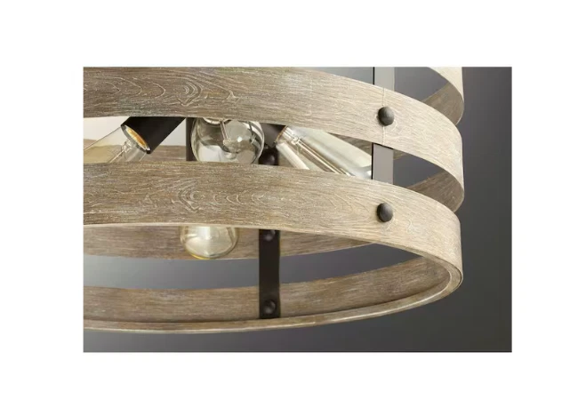 Progress Lighting Gulliver 8-1/2 in. 1-Light Graphite Coastal Drum Mini-Pendant - Image 4 of 4