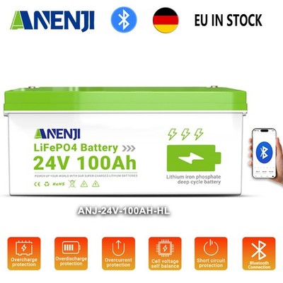 24V 100Ah LiFePO4 Battery 25.6V 2.56kwh 100A BMS for Home RV Solar Storage DE