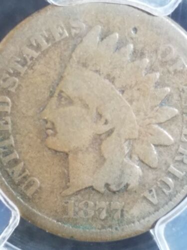 1877 Indian Head Cent PCGS G04 2127.04/36378195 Exquisite Coin Rare - Picture 5 of 11