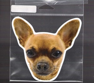 Blond Chihuahua  4 inch face magnet for car or anything metal