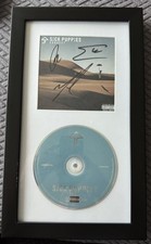 Sick Puppies Signed Autographed Framed CD Connect