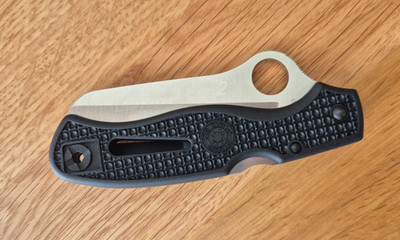 Spyderco Atlantic Salt C89SBK serrated Taschenmesser