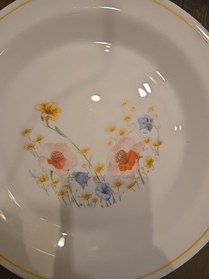 Arcopal France Dinner Plates Lot of 6