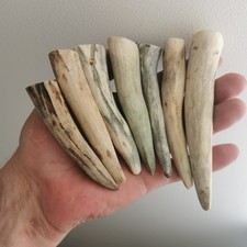349.Elk  Horn Blanks for Smal Handle, Handmade,Decor  (NATURAL).