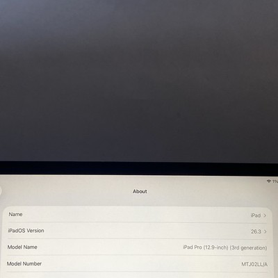 iPad Pro 12.9 Inch 3rd Generation WIFI & Cellular 256GB READ | eBay