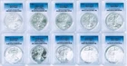 2010-2019 American Silver Eagle Set (10 Coins) PCGS MS70 Blue Label (FREE SHIP)