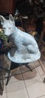 Foto 2 di 6