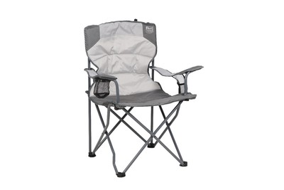 Timber Ridge Sycamore Quad Chair, Gray, Adult  24  x 21.3  x 19.7  x 39  New