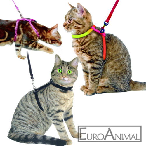 Katzengeschirr Geschirr Halsband für Katze mit Leine Katzengarnitur Katzenleine - Bild 1 von 8