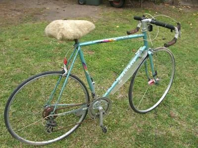 racing bikes gumtree