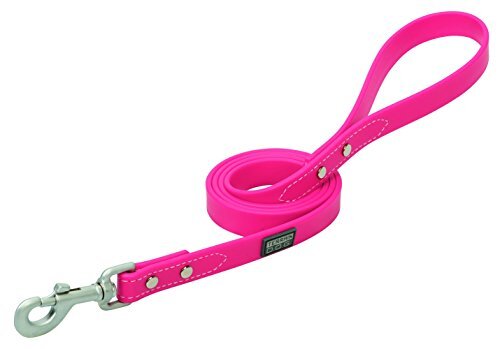 Terrain D.O.G. Brahma Webb Hundehalsband – Wasserfest, Langlebig, Mit Sicherheitsring