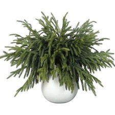16 Pcs Real Touch Norfolk Pine Branch -18 Artificial Christmas Green Plants B...