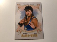 The 1-2-3 Kid 2021 Topps Heritage WWE Allen & Ginter Card #AG-24