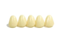 Dental Polycarbonate Temporary Preform Crowns Refills Set of 5 per Bag See Chart