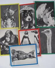 Vintage Set of 7 Animal Embossed Greeting Note Cards 9 inch with Envelopes
