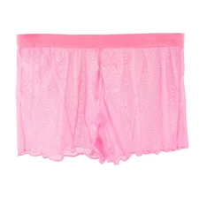Sexy Men Sheer Mesh Briefs Underpants Lingerie Underwear See Through Boxers Thin